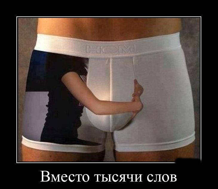 Podborka luchshikh demotivatorov 487 095